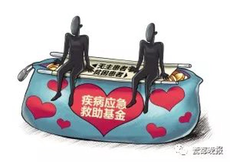 器官移植救助让生命之树常青