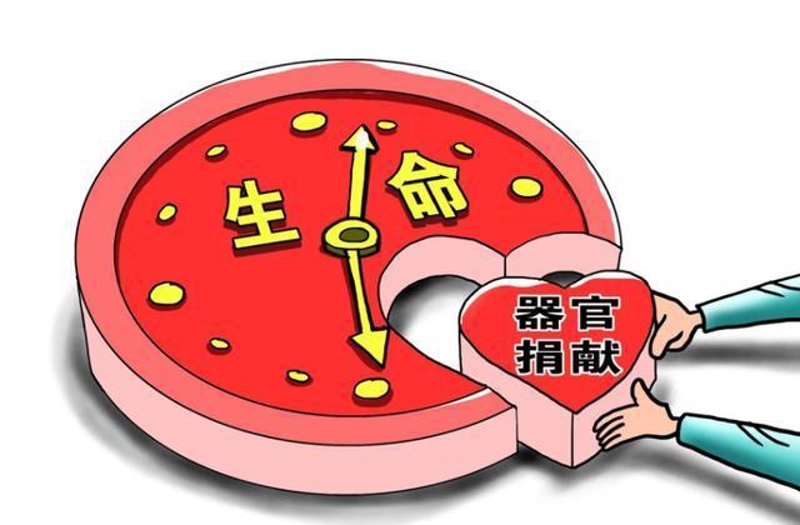 器官捐赠：生命之桥的传递