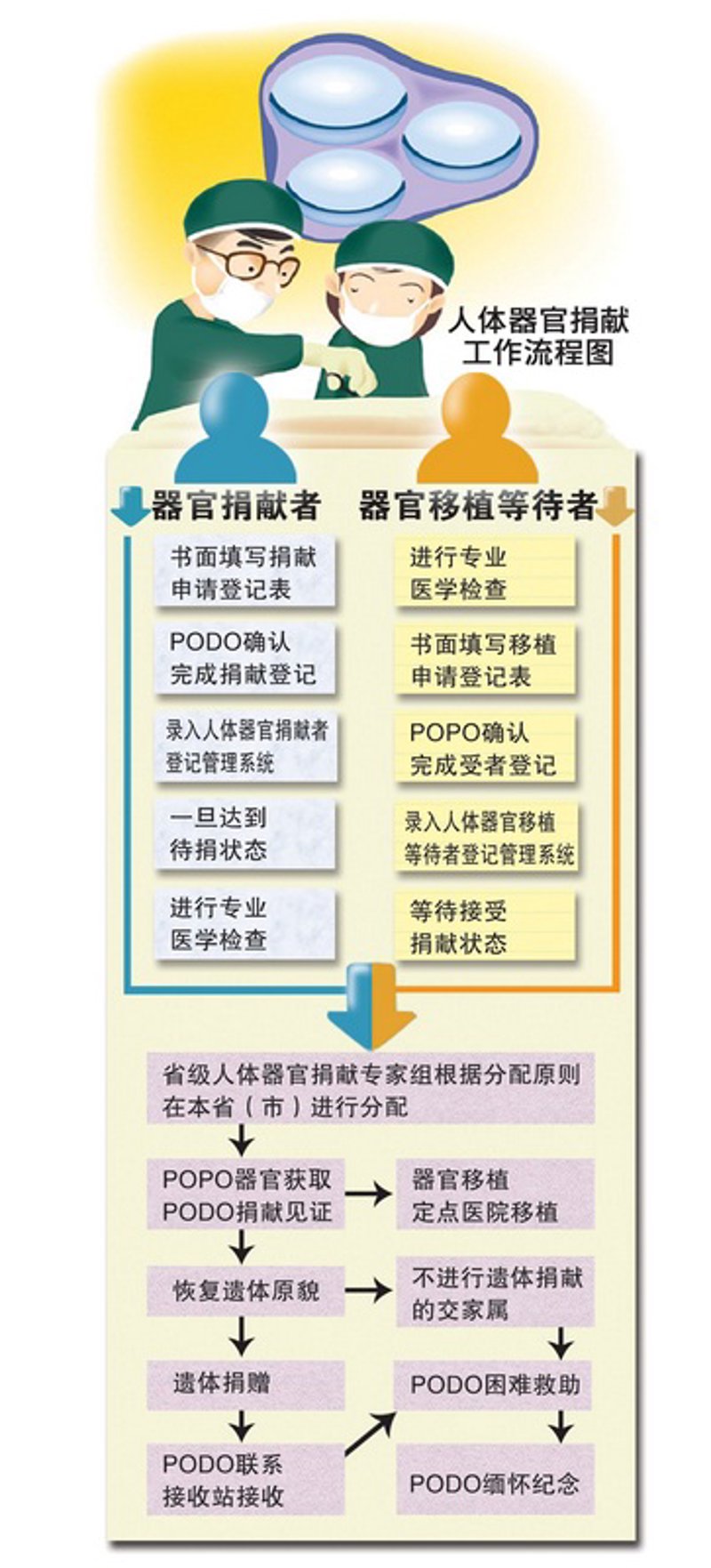 器官捐赠:爱的传递